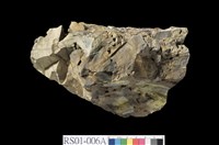 藏品(角礫岩)的圖片